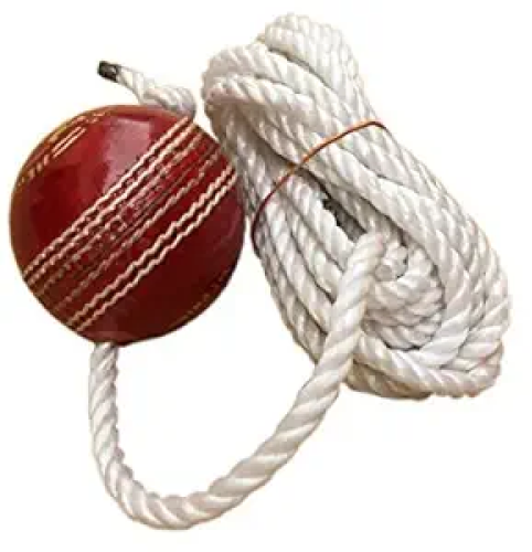 Hanging Leather Ball - Practise_677f762e825aa.webp